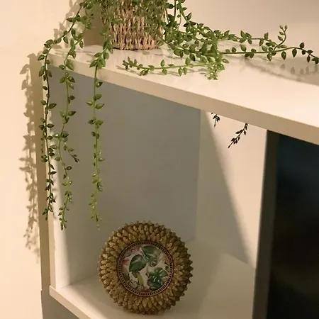 Apartamento Studio Denain Denain